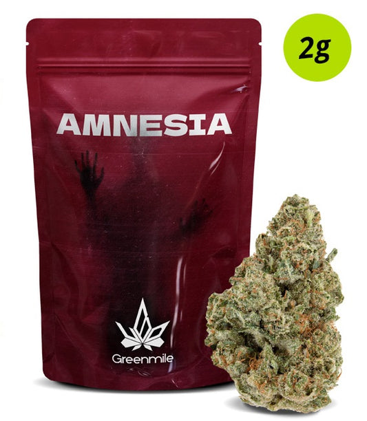 Amnesia 2g