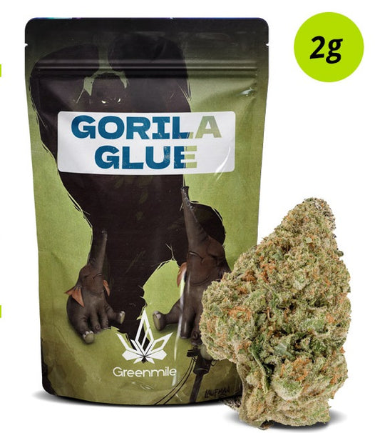 Gorila Glue 2g
